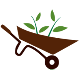 Máximo Jardins – O seu jardim sorri para si