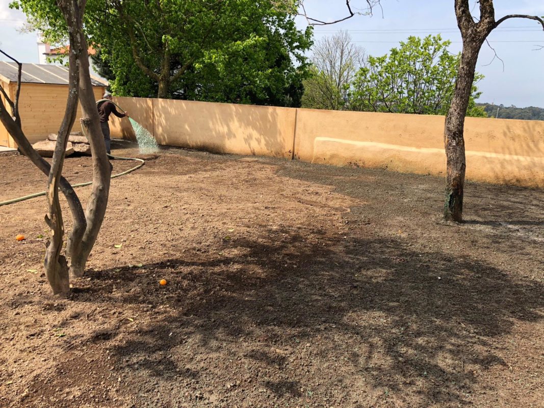 Máximo Jardins – O seu jardim sorri para si