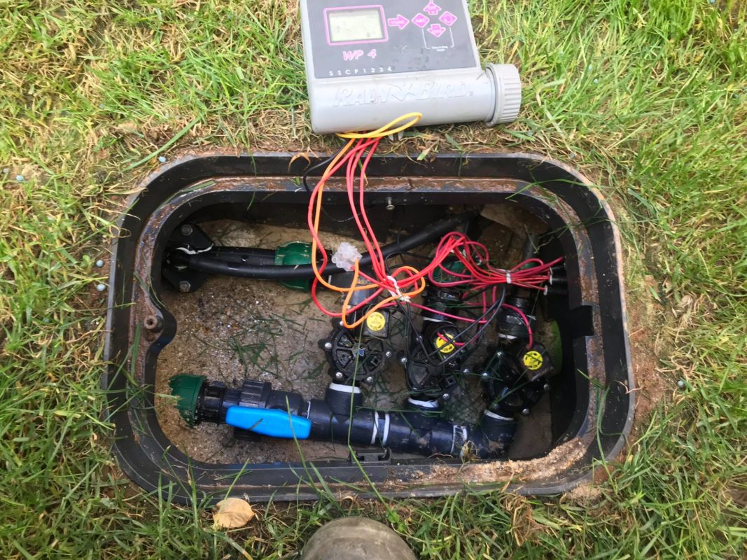 Máximo Jardins – O seu jardim sorri para si