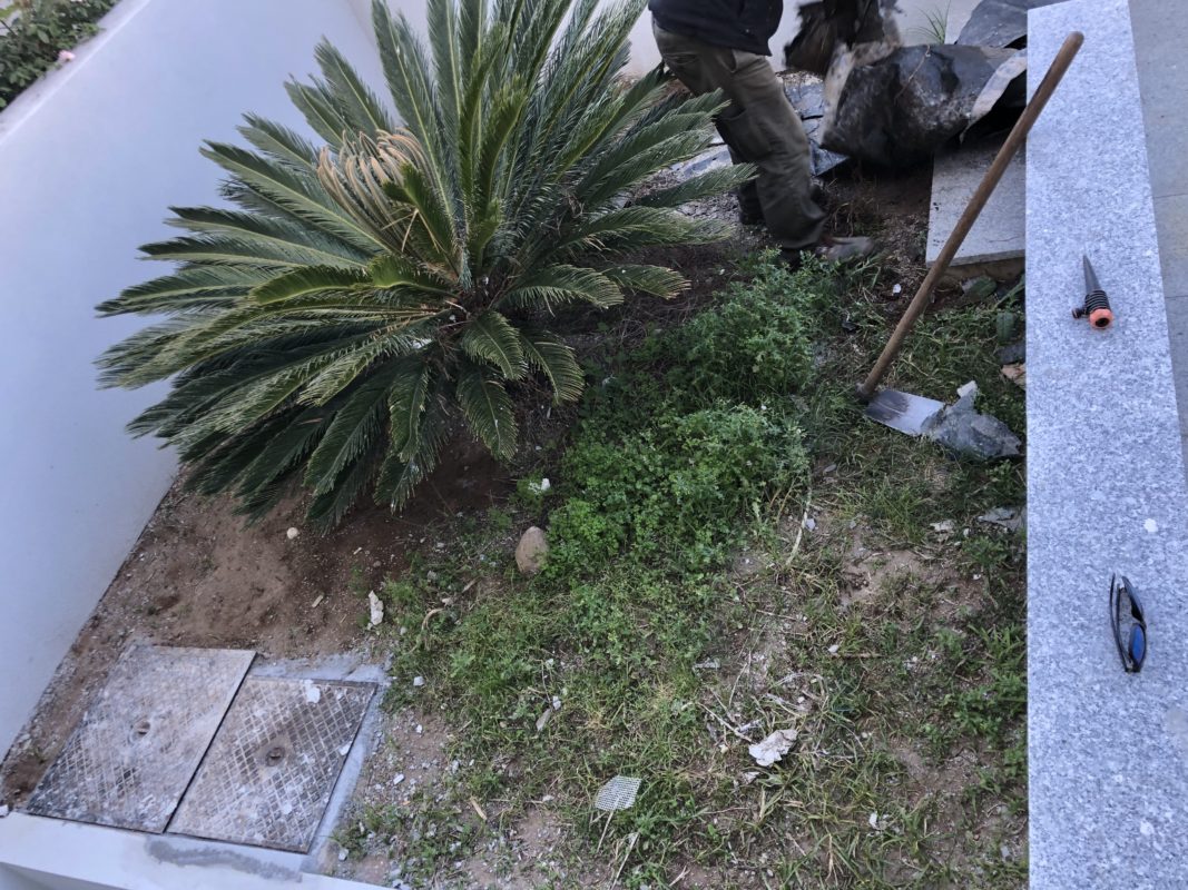 Máximo Jardins – O seu jardim sorri para si