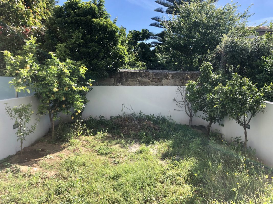 Máximo Jardins – O seu jardim sorri para si